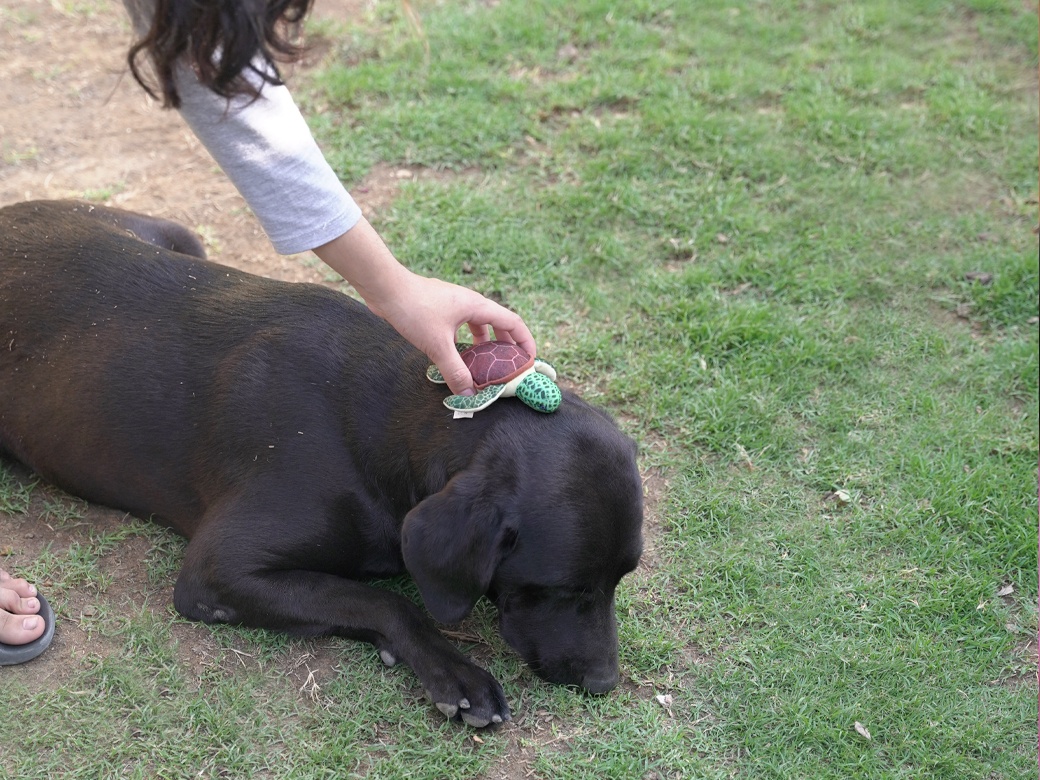 Science Projects For Kids