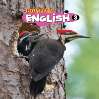 Common Core Standards English Class 3