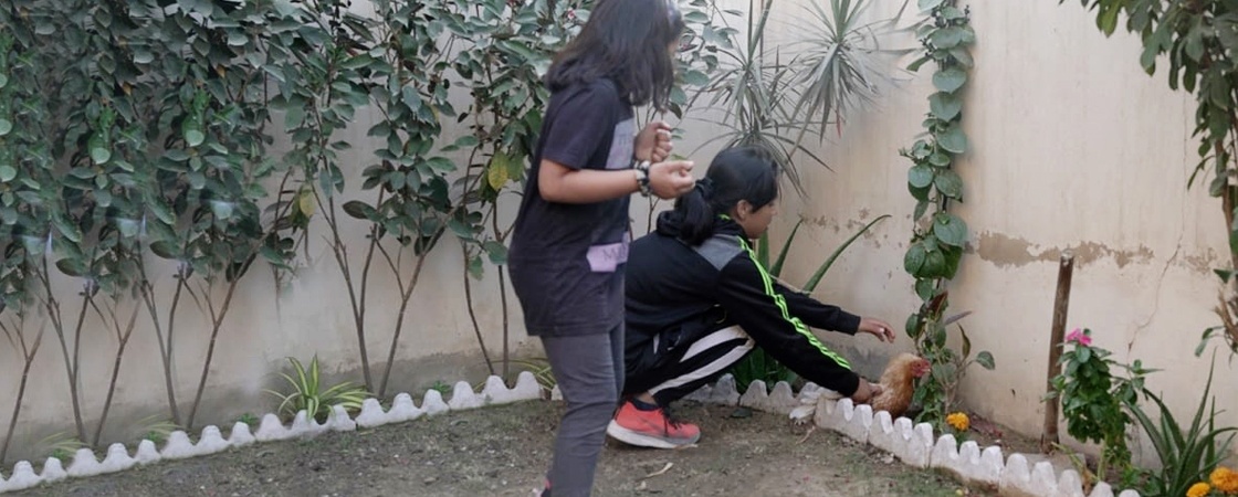 Learning Disabilities