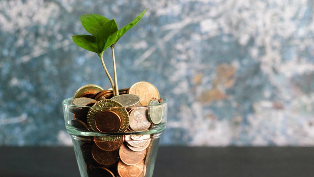 Wise use of resources