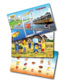 Theme Boards (Pre year 3)