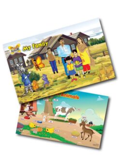 Theme Boards (Pre year 1)