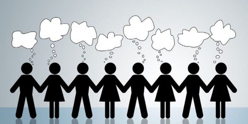 curriculum development